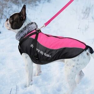 WINDPROOF REFLECTIVE WINTER DOG JACKET Removable Safety Harness Windproof Snow